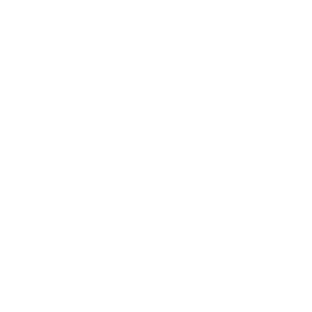 Logo Friese 22